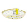 LED strip 2835-192-IP20-WW-10-24 RD00K2TC-A 2700K CRI90 3m. non-waterproof LED strip 2835-192-IP20-WW-10-24 RD00K2TC-A 2700K CRI90 3m. non-waterproof