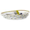 Светодиодная лента 5050-60-IP20-RGB/WW-12-24  RD0260AC-A 3000K
